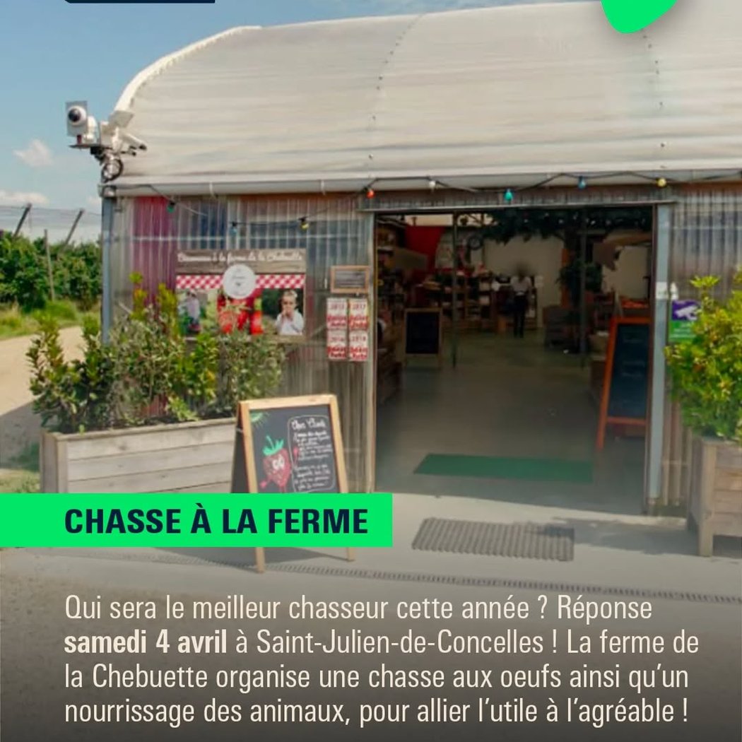 Chasse à la ferme 1