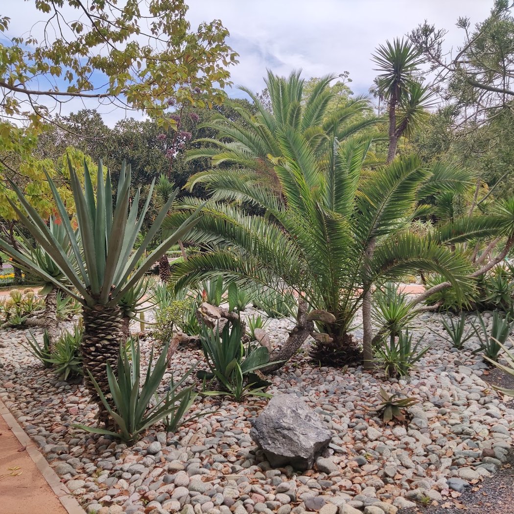 Botanical Garden 2