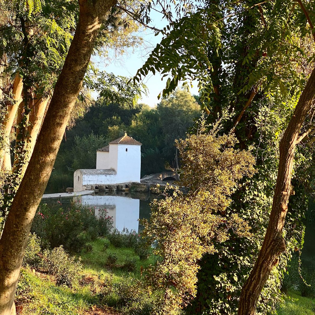Molinos Alcalá 1