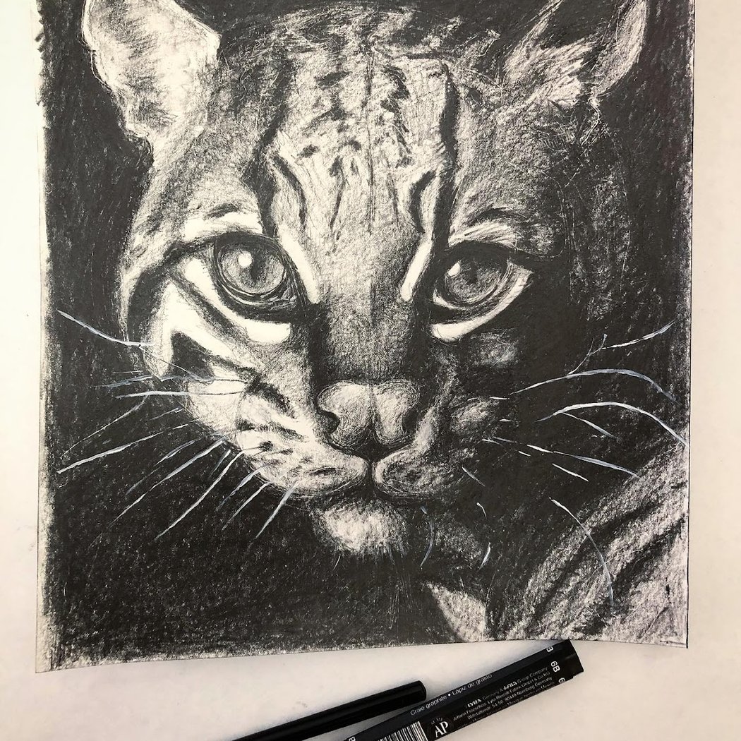 Spring Semester art classes 1