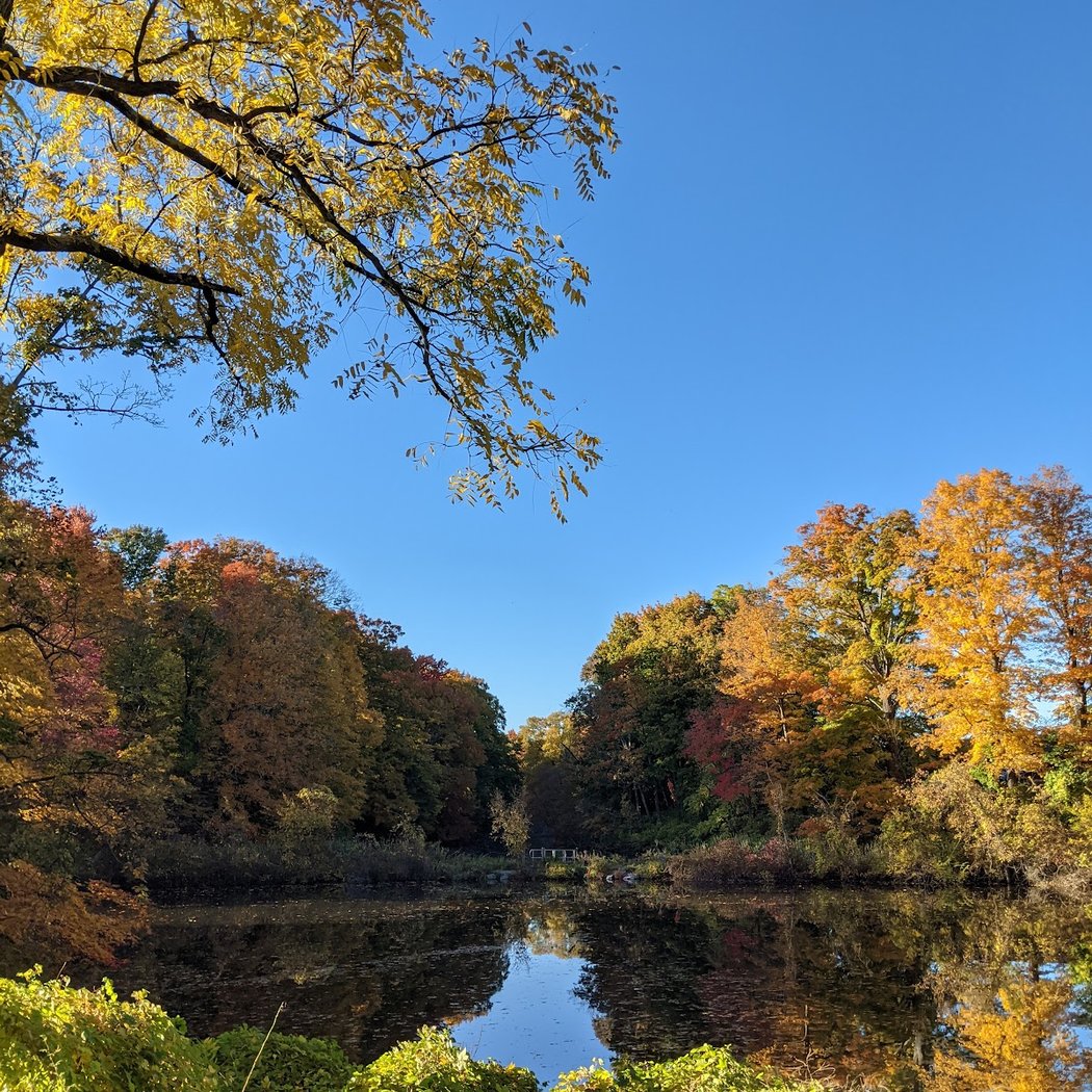 The Preserve at Vassar 1
