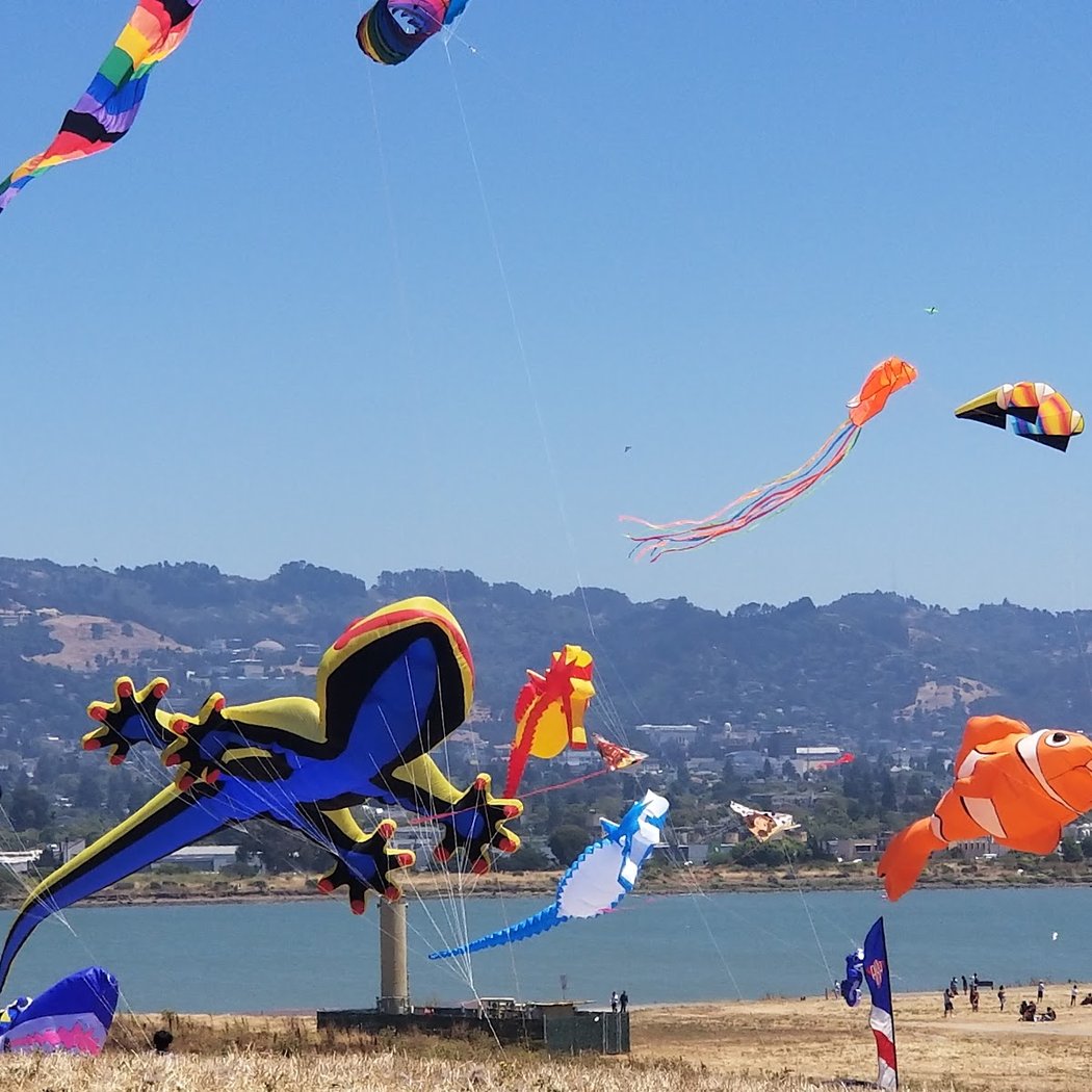 Berkeley Waterfront 1