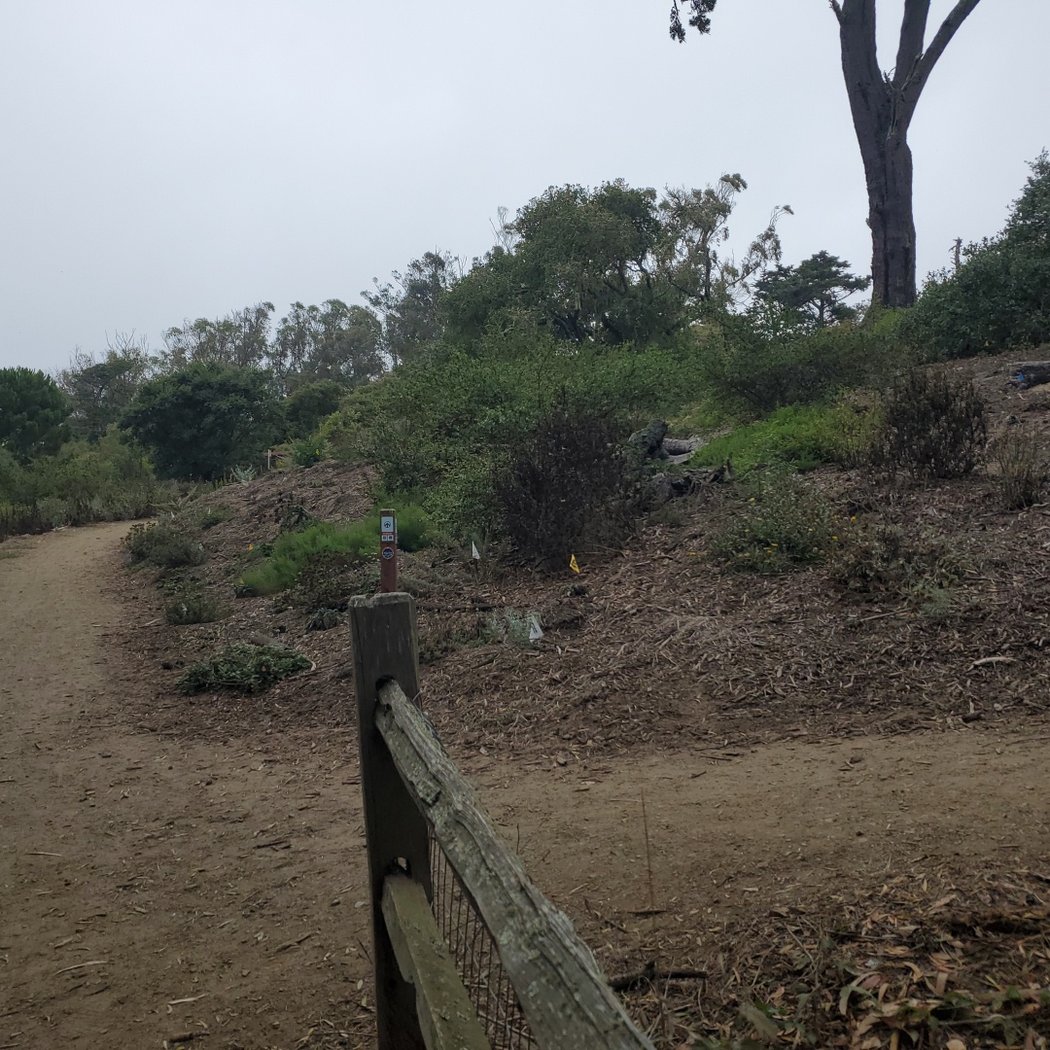 Oak Woodlands Natural Area 3