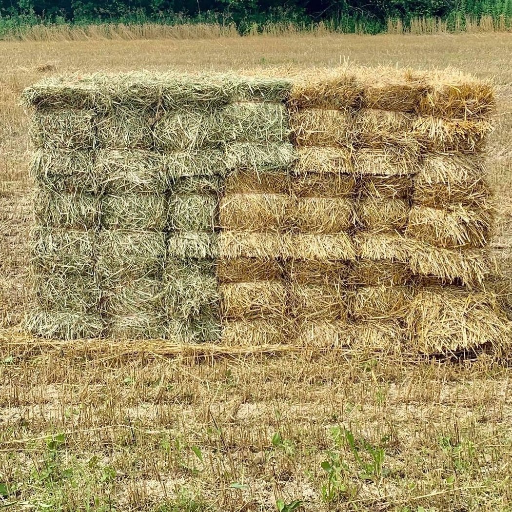 Niles Farm 3