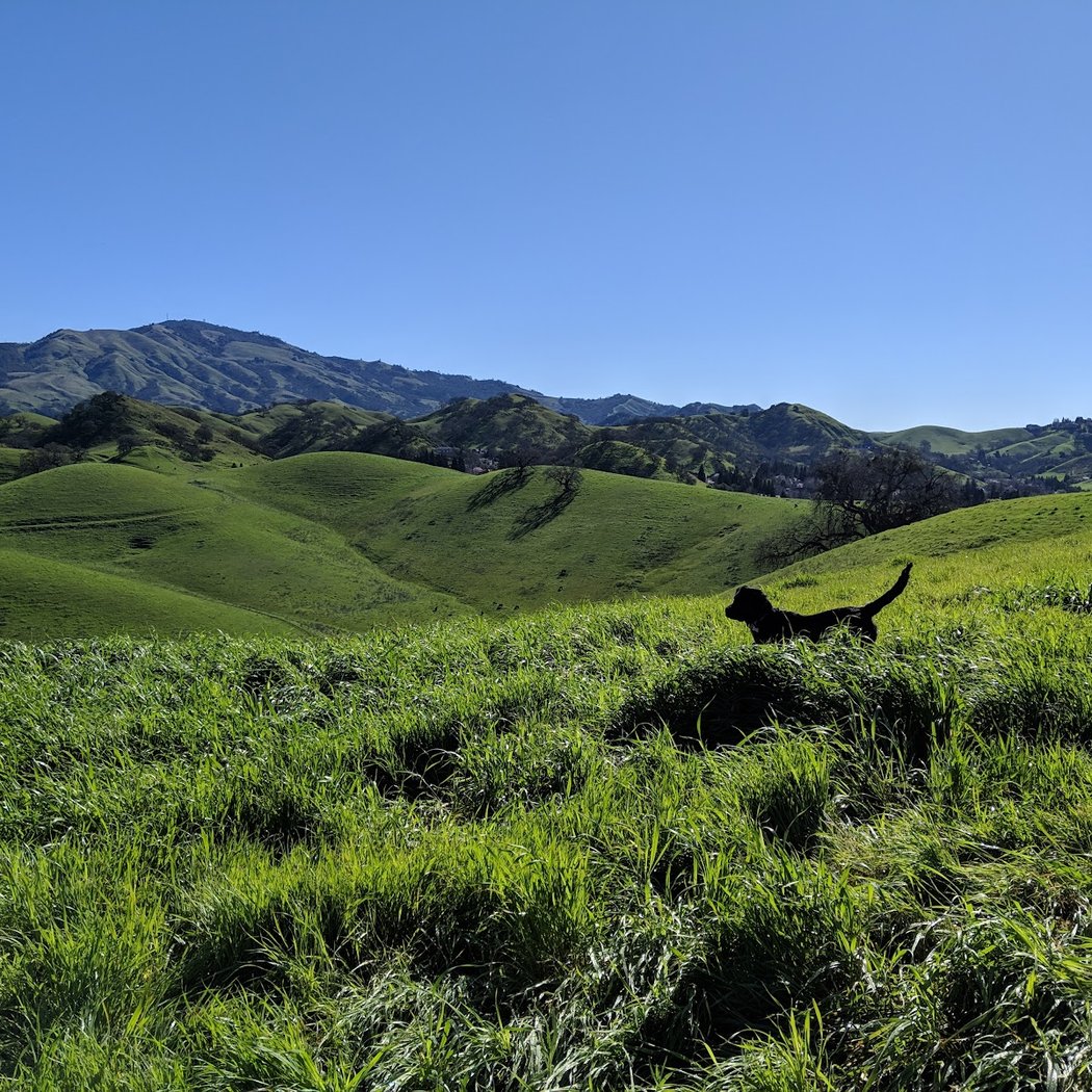 Franco Ranch Loop Trail 1