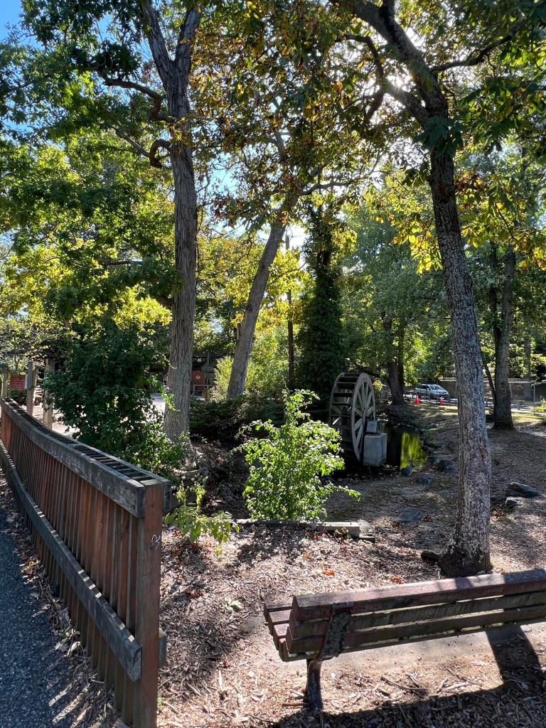 Cohanzick Zoo 3