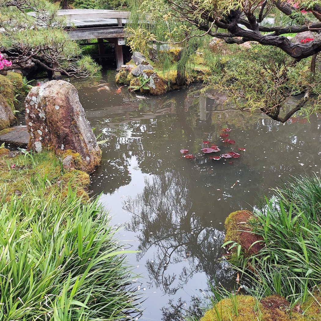 Japanese Tea Garden’s Free Admission Hour 3