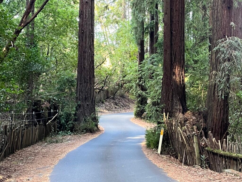 Sonoma Mountain Rd 1