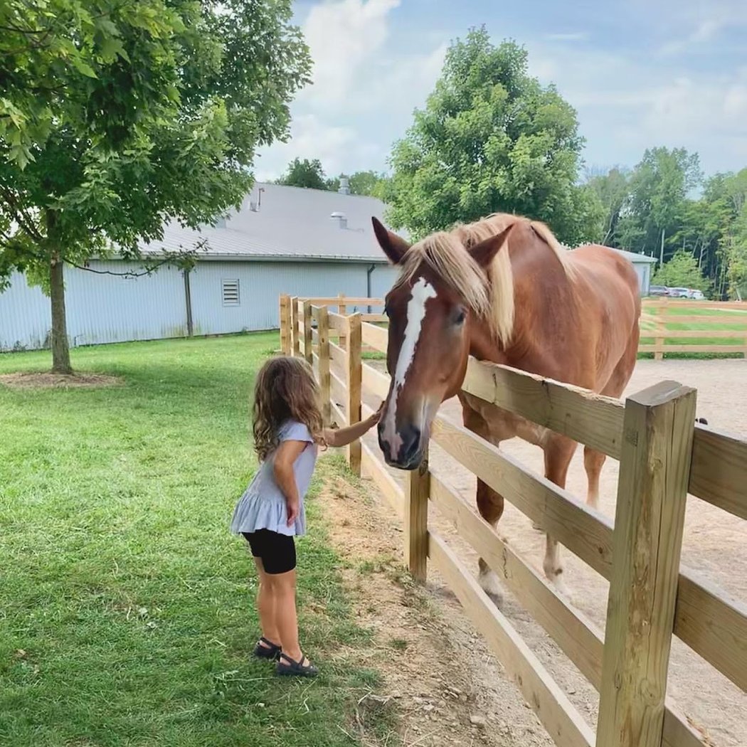 Lake Metroparks Farmpark (interactive farm play) 1