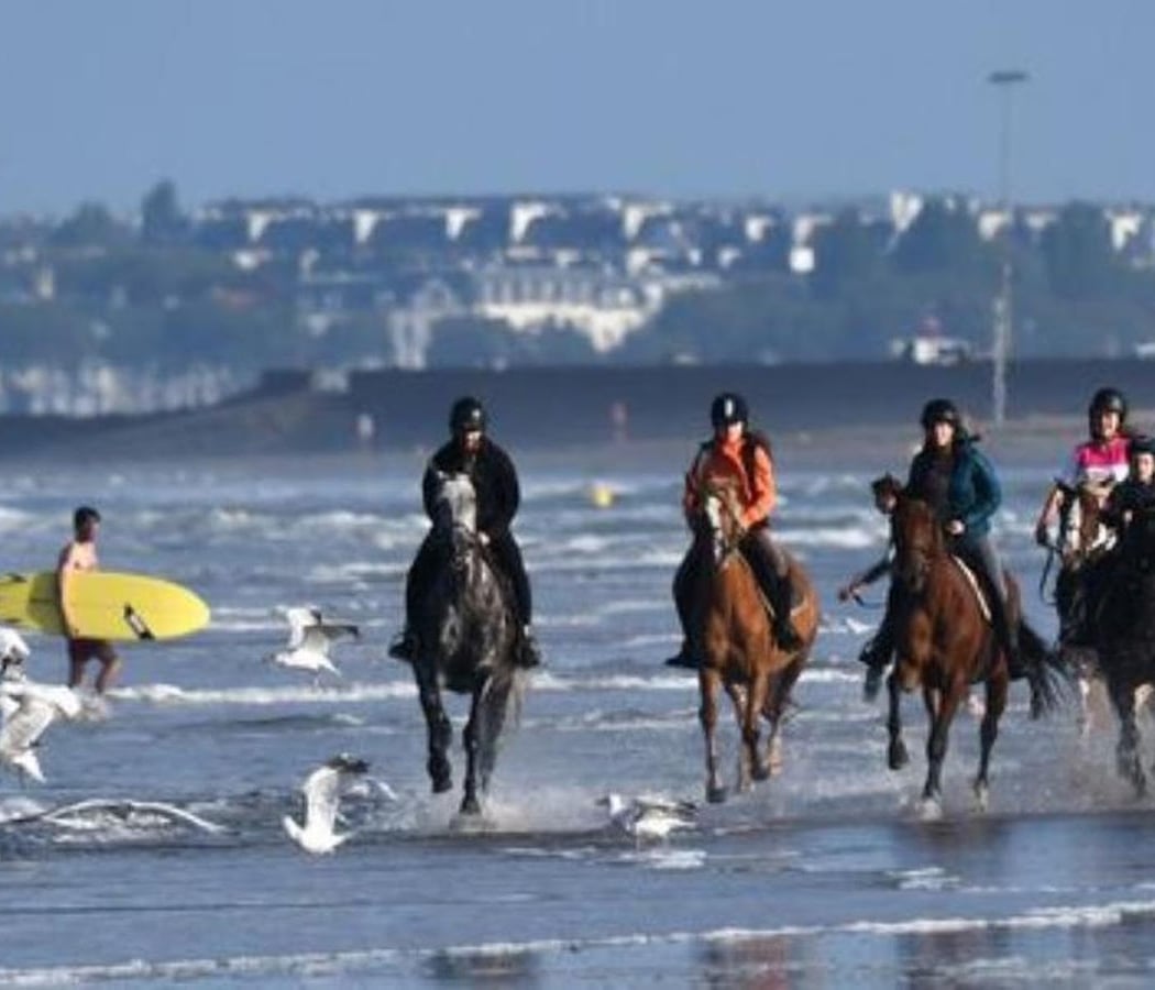 Vacances de Noël aux Écuries de Saint-Brevin 2