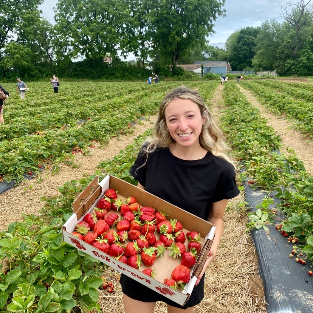 Strawberry Fest 1