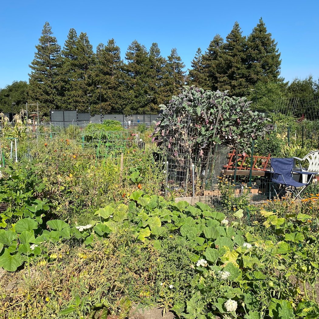 Community Gardens LARPD 3