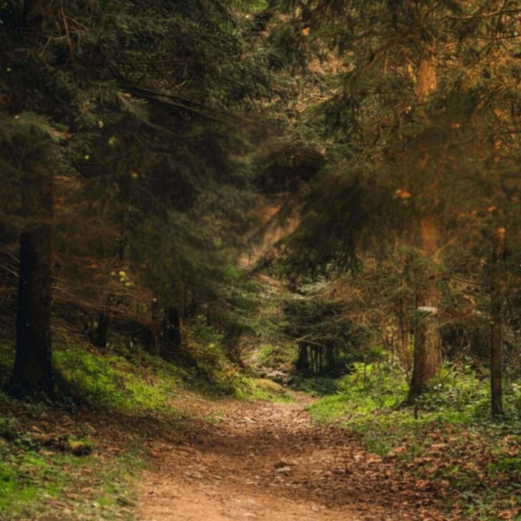 Soul Searching with Rev Ruthanne Svendsen 1