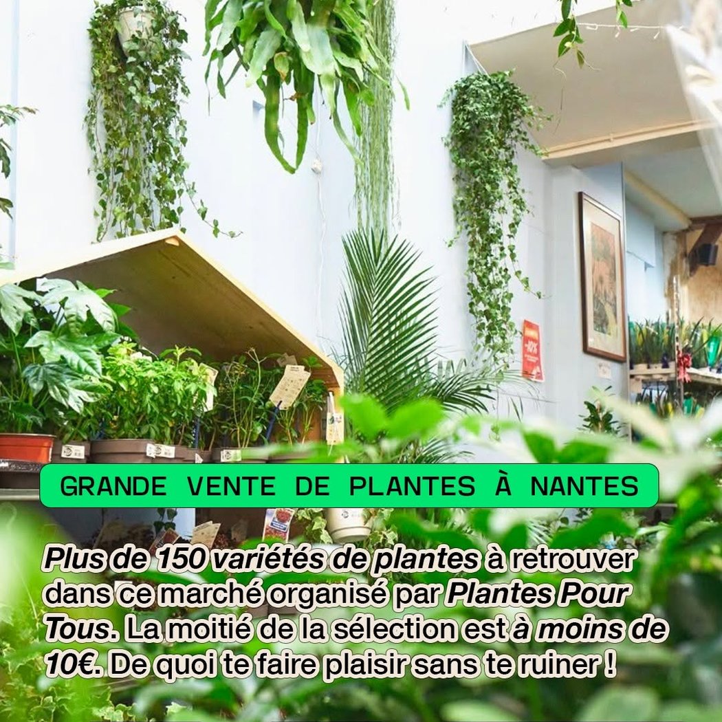 Grande Vente de Plantes 1