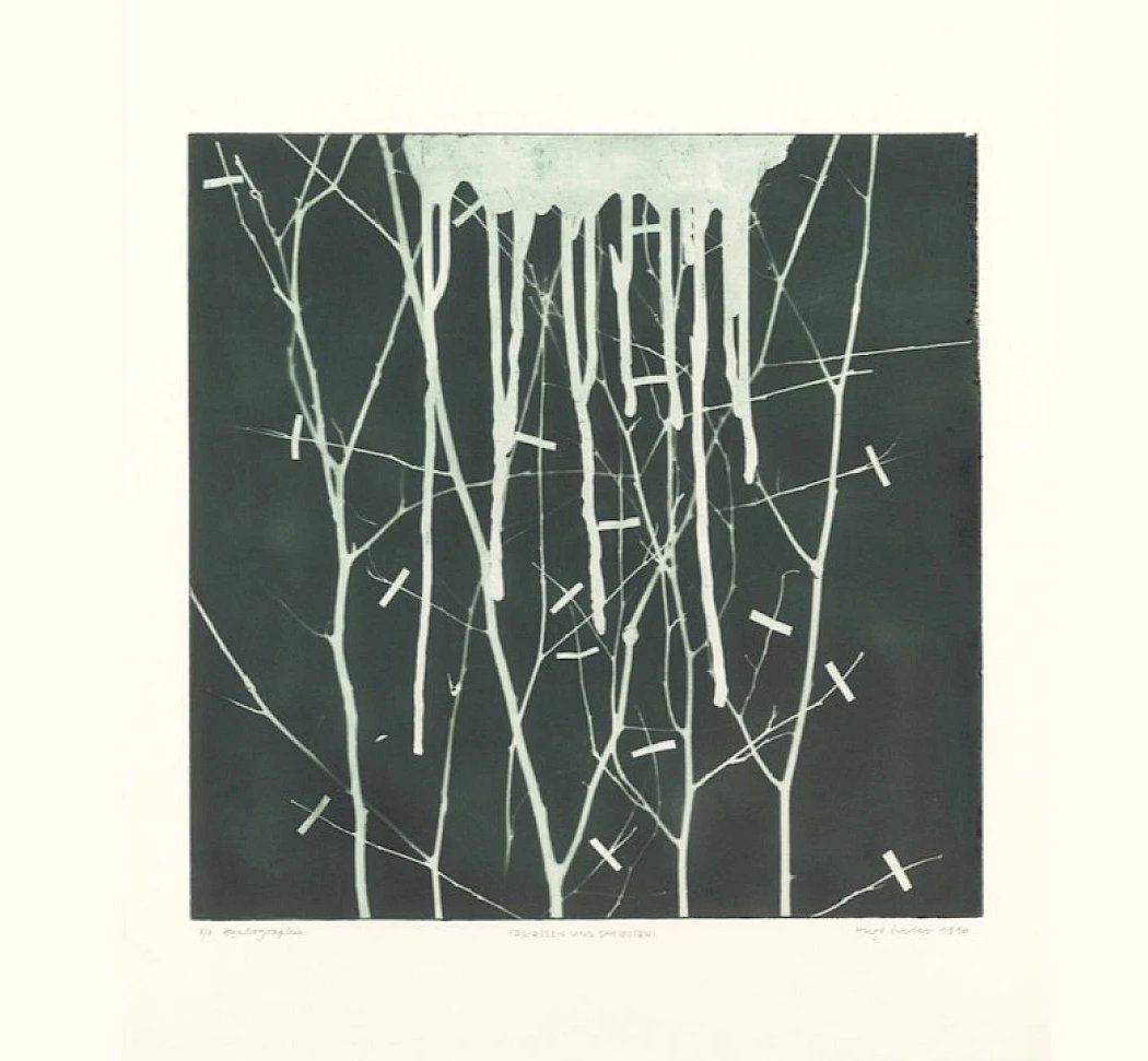 Hugo Suter. Flowing and Sprouting. The Print Series 1