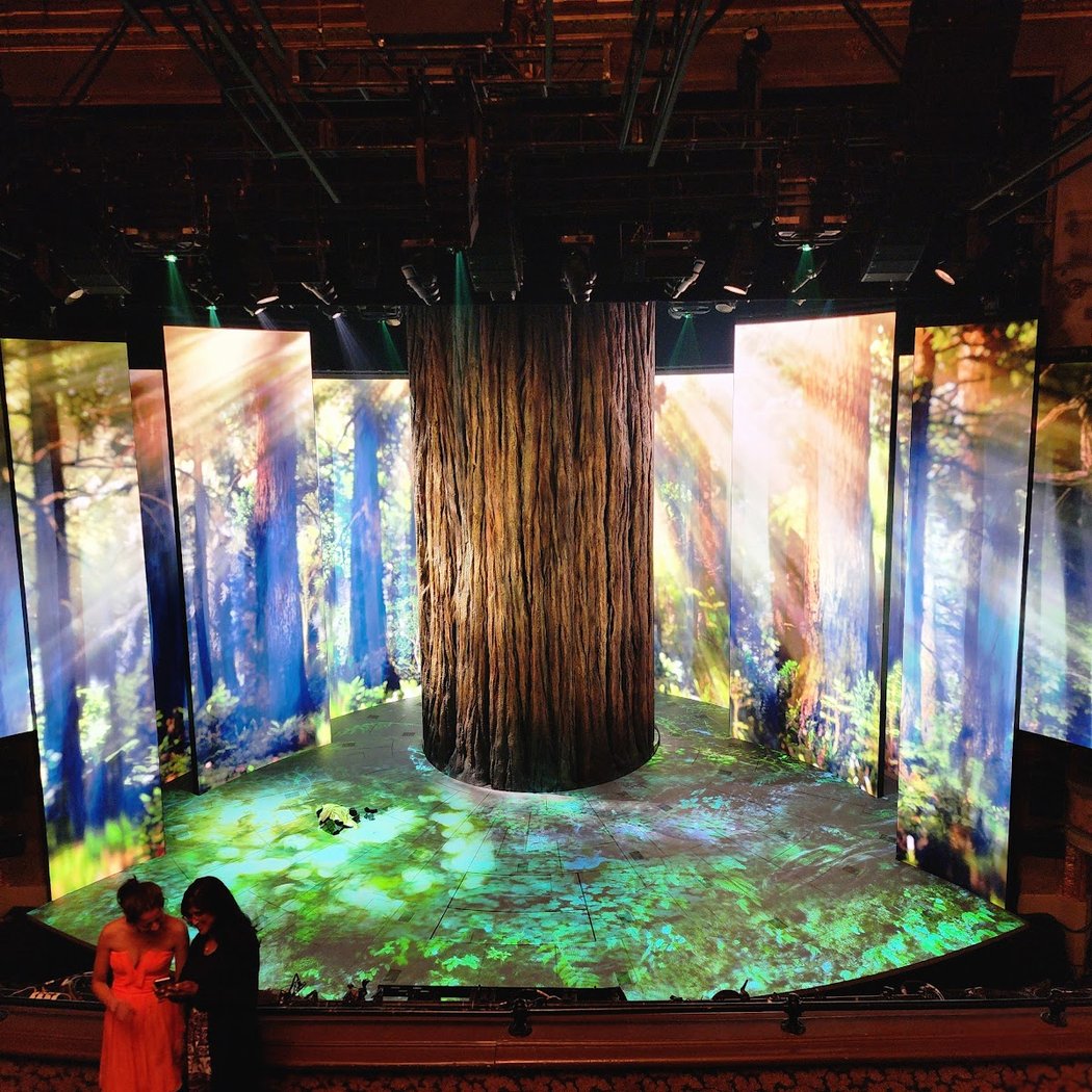Redwood Musical 1