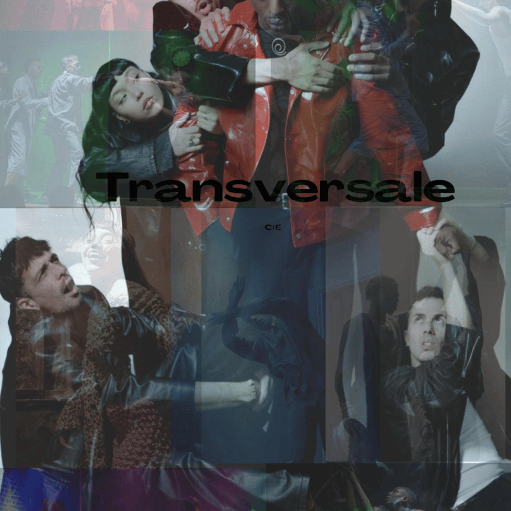 TRANSVERSALE 1