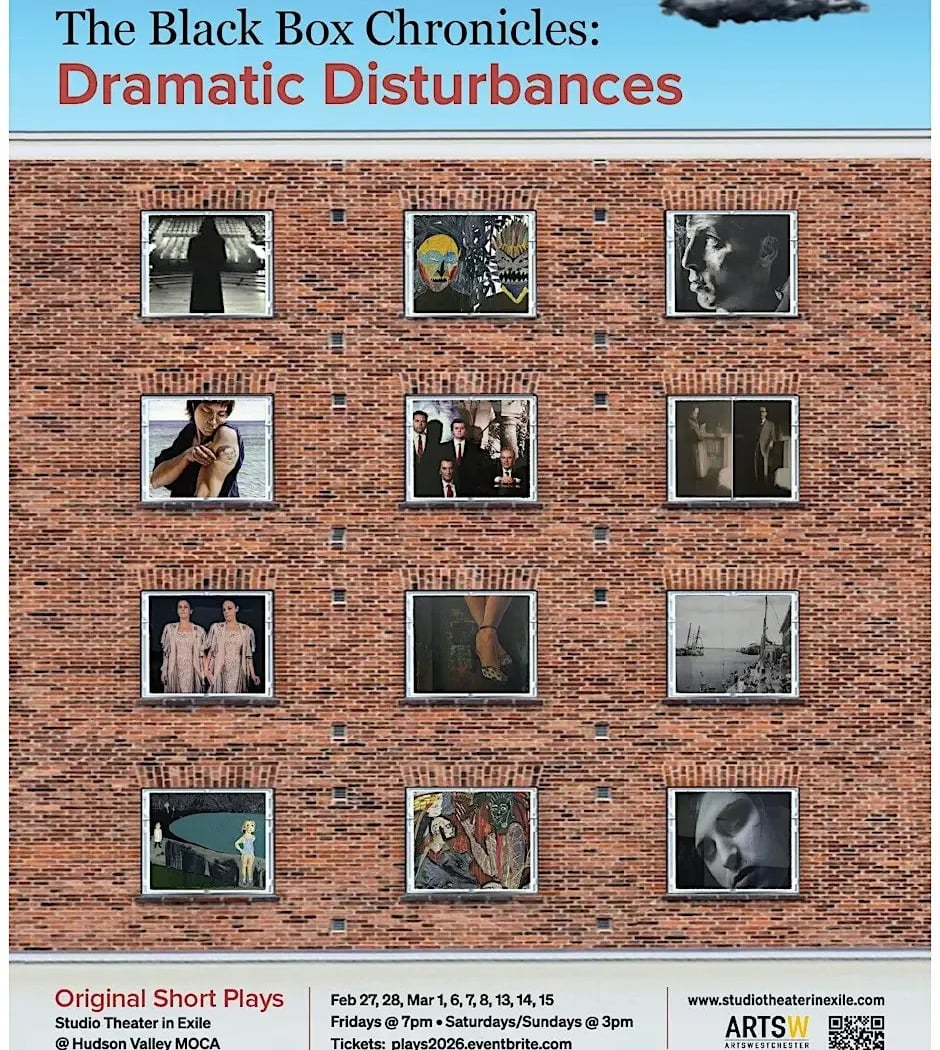 Black Box Chronicles - Dramatic Disturbances 1
