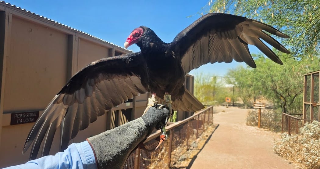 Guided Tour of Liberty Wildlife