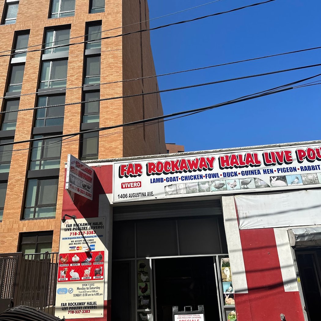 Far Rockaway Halal Live poultry 2