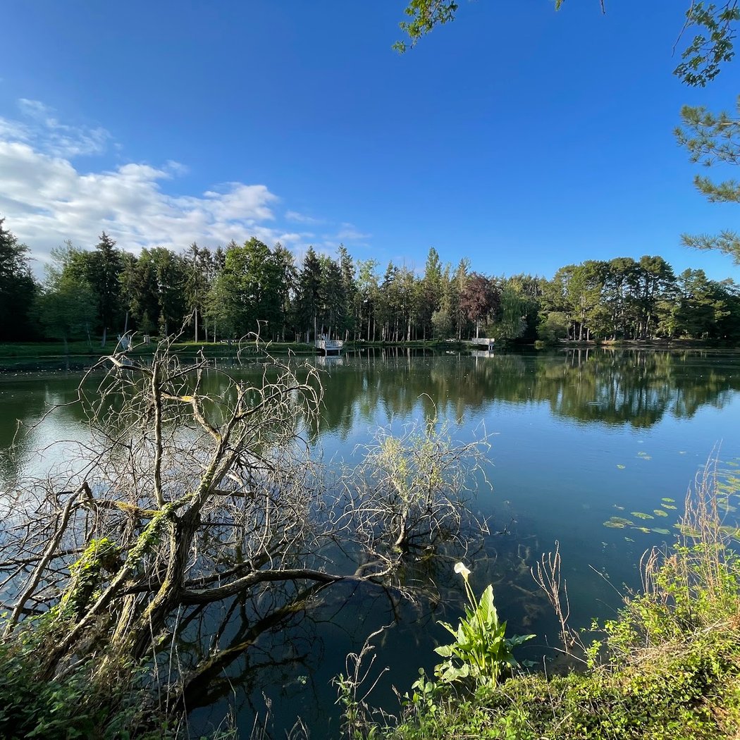 Bord de Vilaine 1