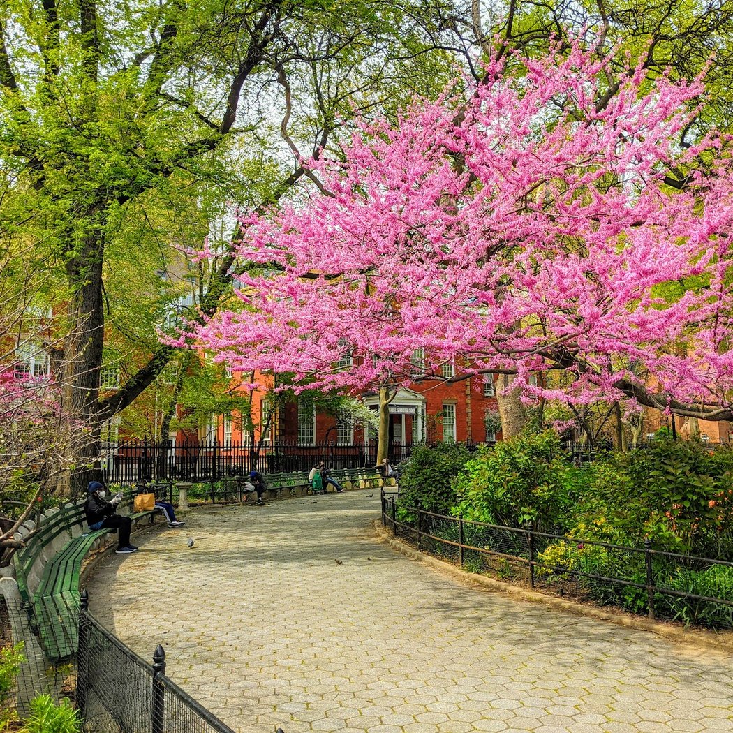 Stuyvesant Square Park 1