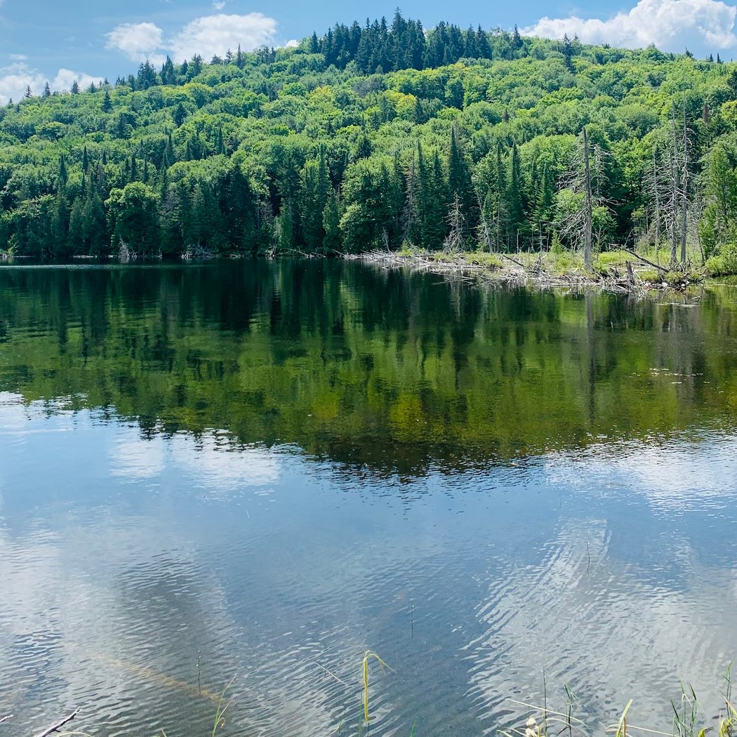 Mauricie 5
