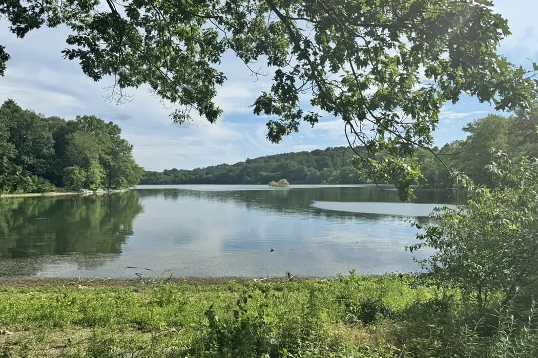 Jamaica Pond Walking Tour 1