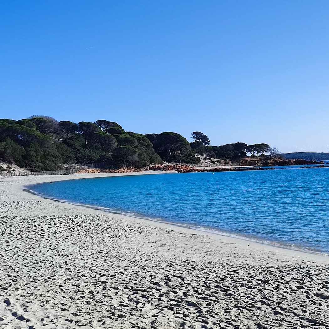 Palombaggia 3