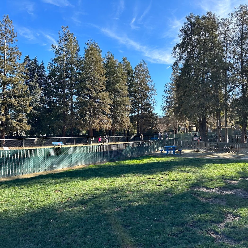 Dog Park | Las Palmas 2