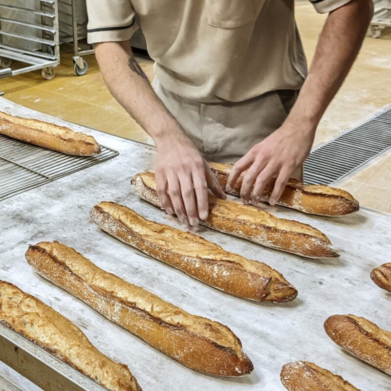 Boulangerie Pâtisserie - LE SIGNOR - Créations Biologiques 1