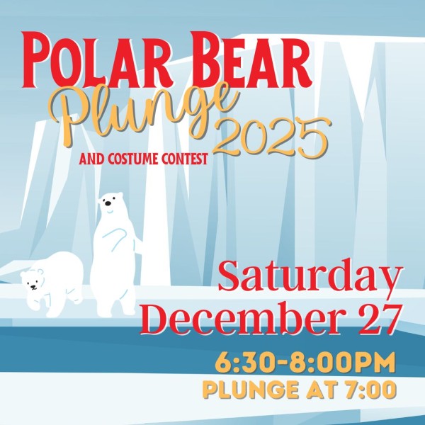 Polar Bear Plunge 1