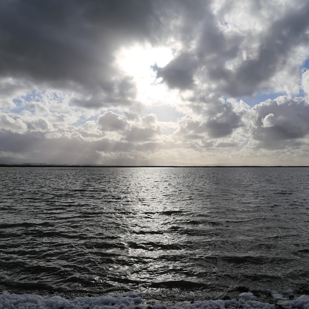Alviso 3