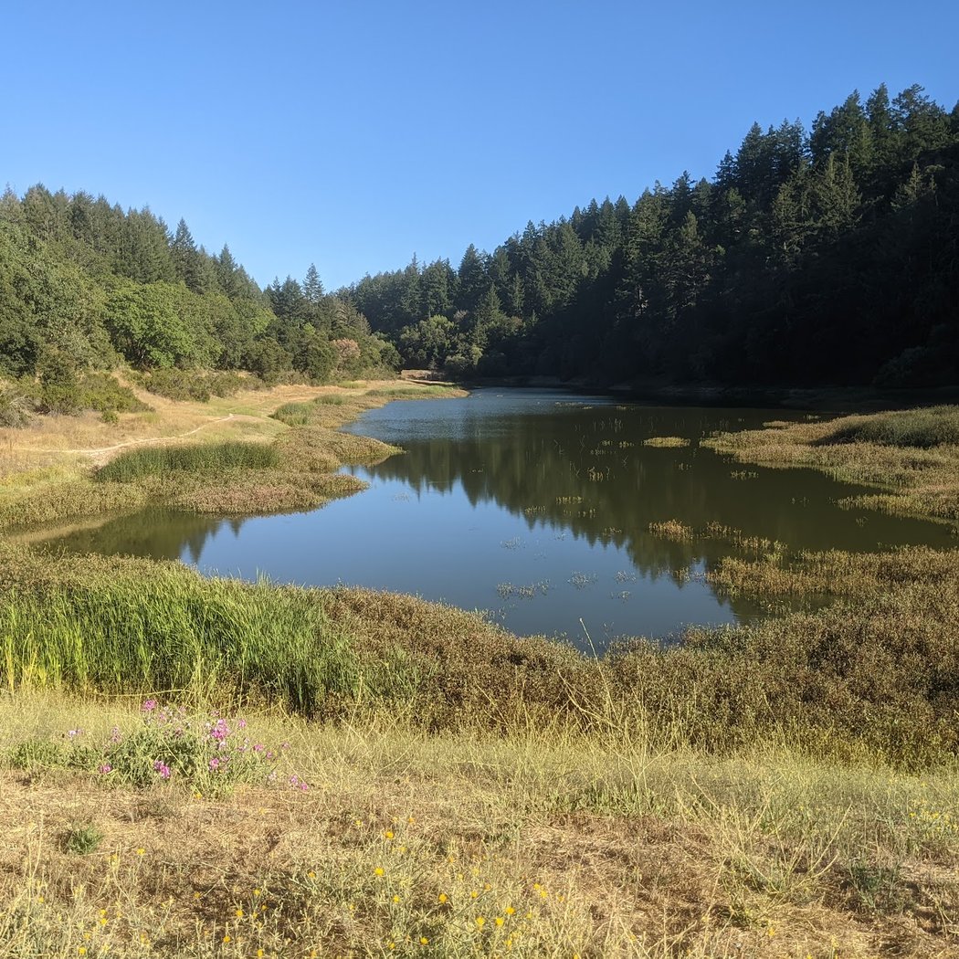 John Nicholas Trail 1