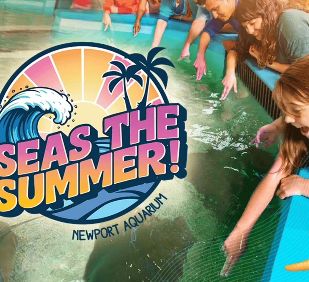SEAS the Summer 2