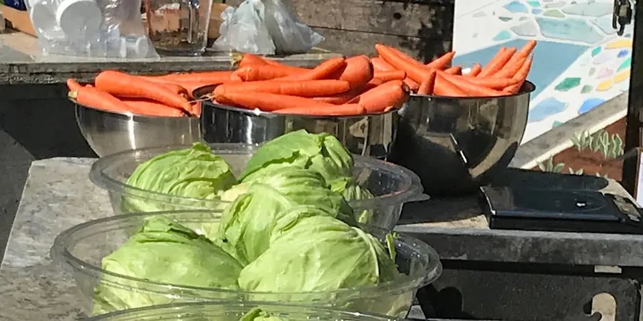 We Can Pickle That!: Carrots and Sauerkraut 1