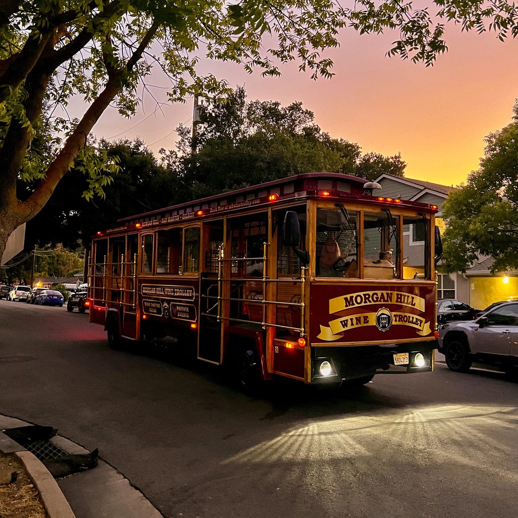 Holiday Lights Trolley Tours 1
