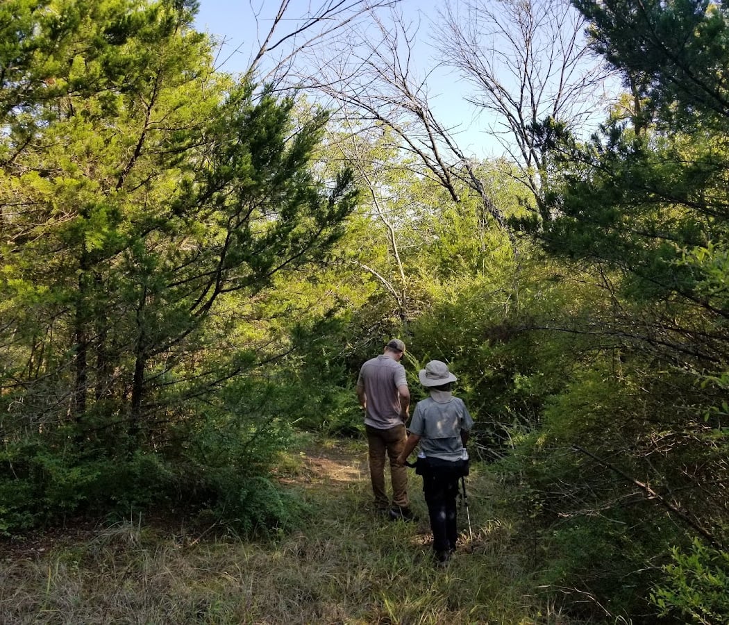Tandy Hills Natural Area / Stratford Nature Area 3
