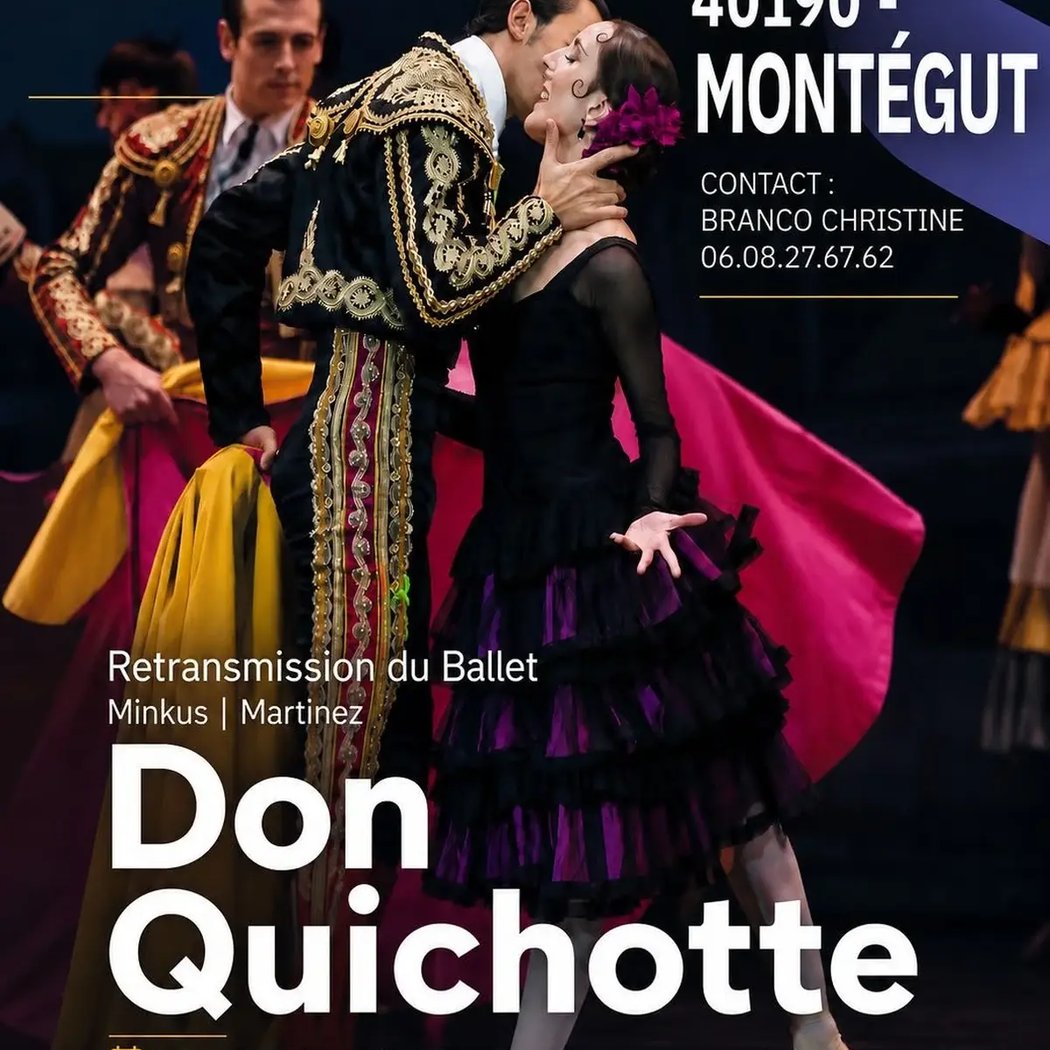 Don Quichotte 1