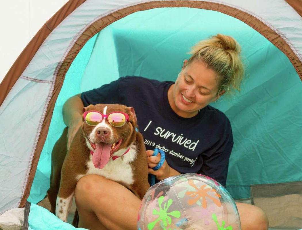 Beach Pawty Fundraiser for Companion Pets of Cleveland 1