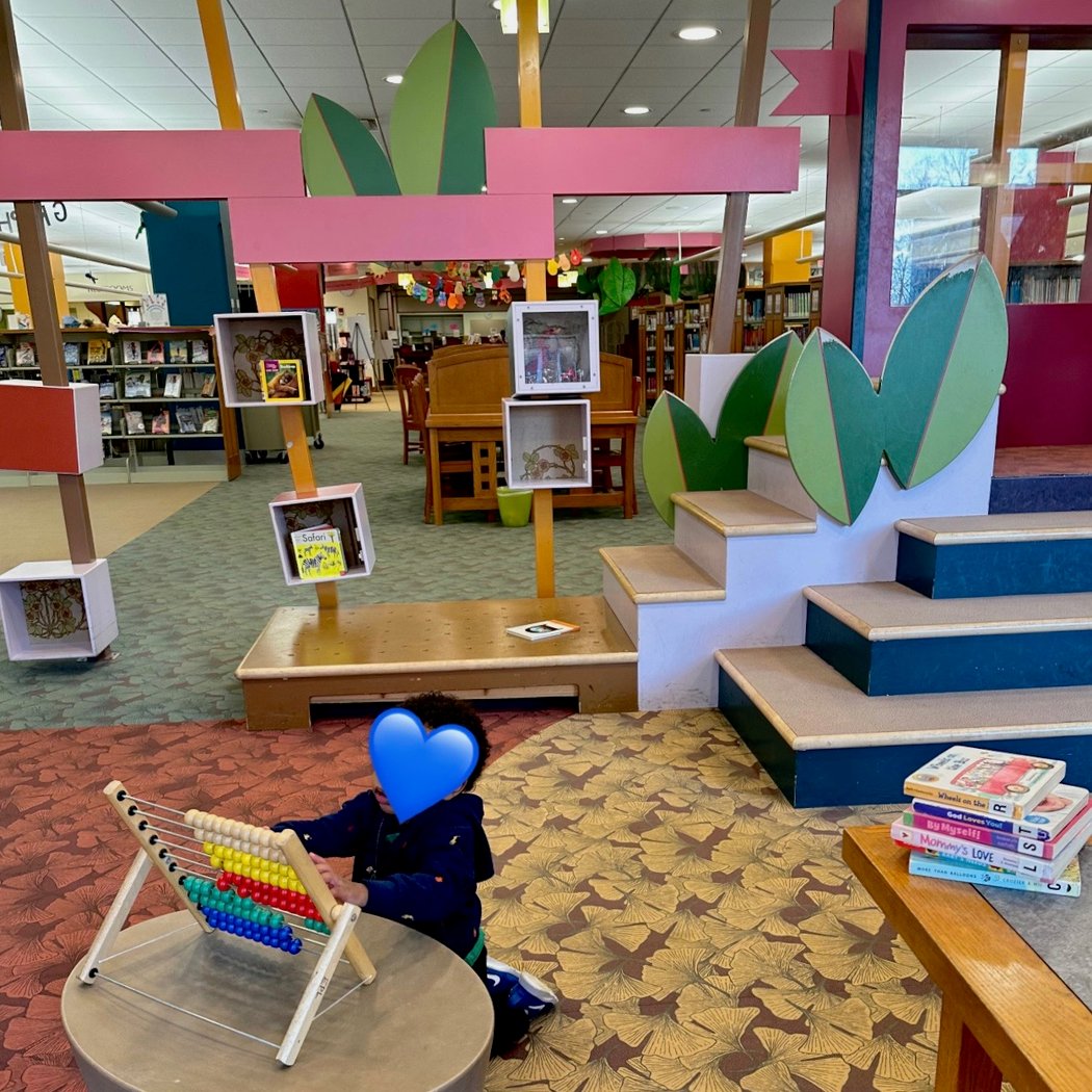 Evanston Public Library 1