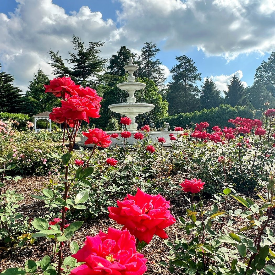 Colonial Park 1