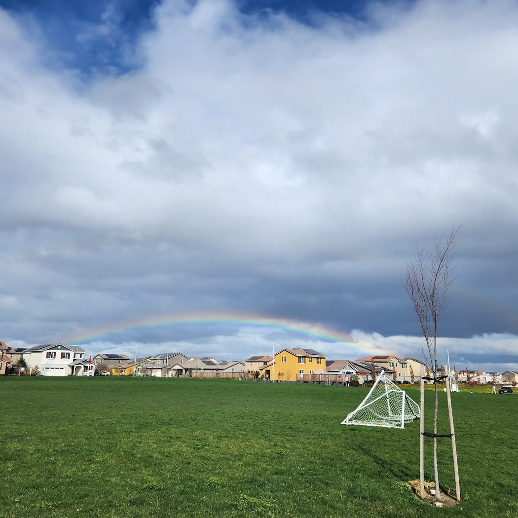 Bay Miwok Meadows Park 2