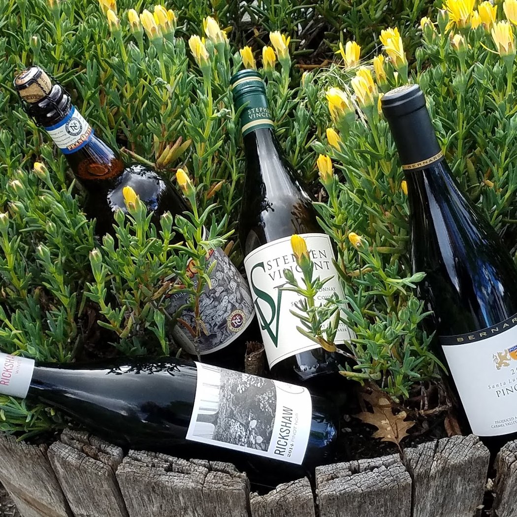 Wine Thieves 1