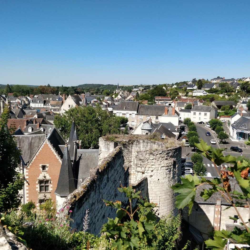 Château de Montrichard 3