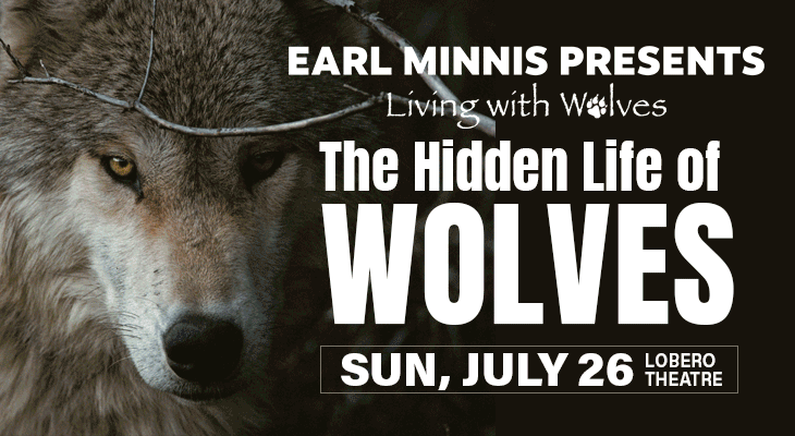 The Hidden Life of Wolves 1