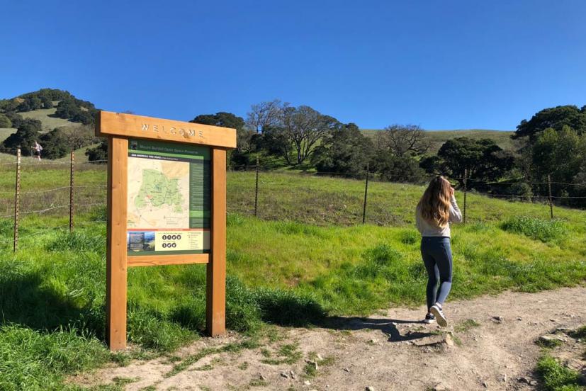 Mt. Burdell Open Space Preserve 3