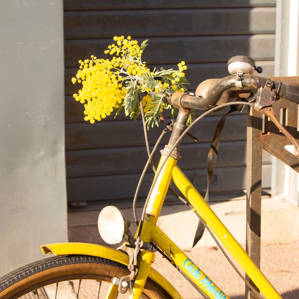 Mimosa Bike Repair - réparation de vélos à domicile et en atelier 3