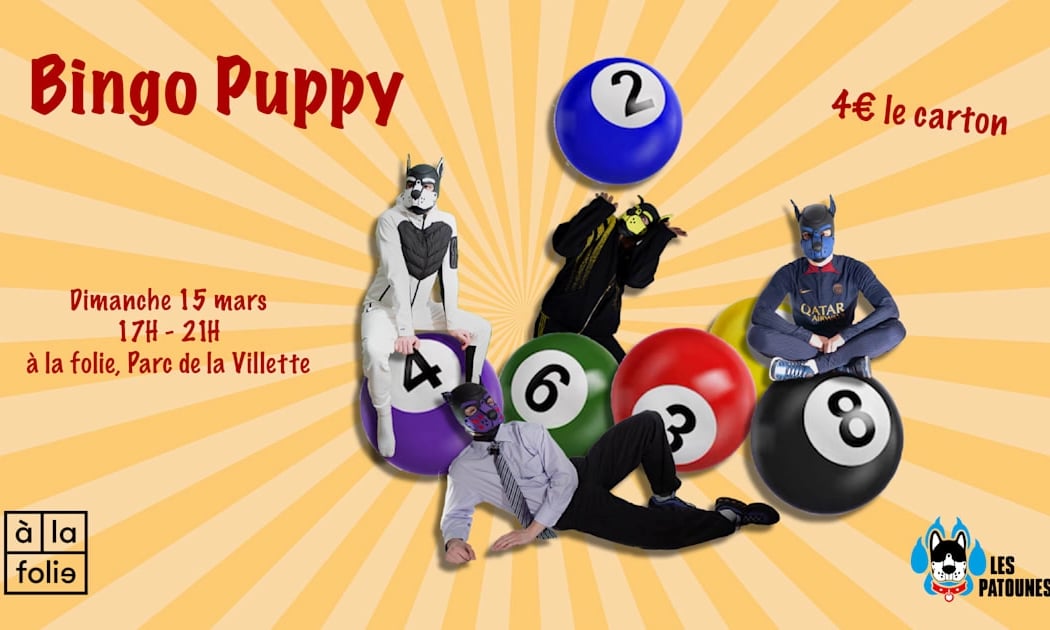 Bingo Puppy 1