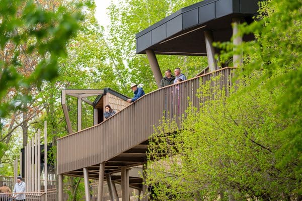 Guided Tree Walk with Michael P. & Glenn Spevacek